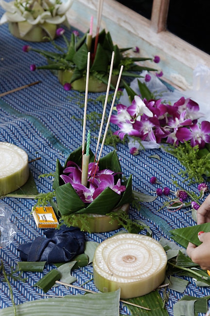 Famille et amis NOV11-036